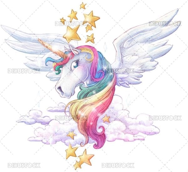 Magic rainbow unicorn